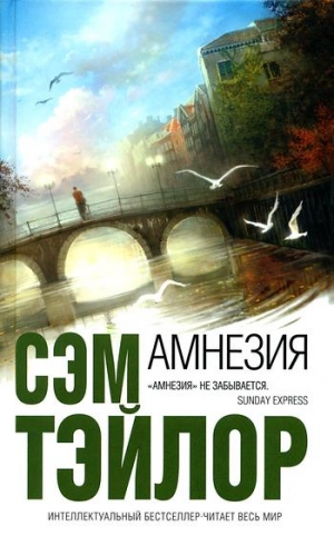 cкачать книгу Сэм Тэйлор Амнезия