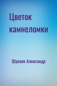 Цветок камнеломки