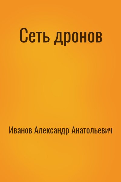 Иванов Александр Анатольевич - Сеть дронов
