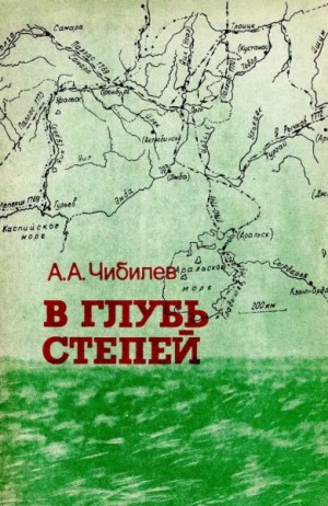 Чибилёв Александр - В глубь степей