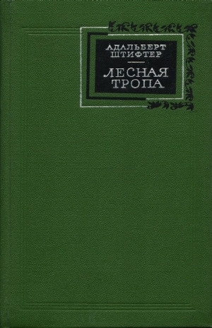 Штифтер Адальберт - Лесная тропа