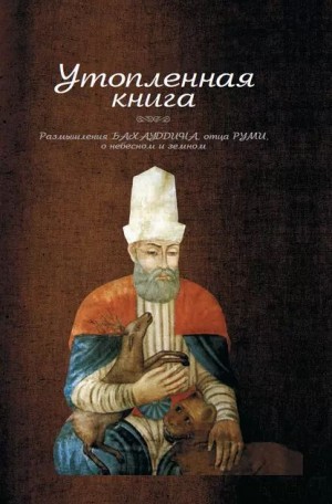 Бахауддин Валад - Утопленная книга. Размышления Бахауддина, отца Руми, о небесном и земном