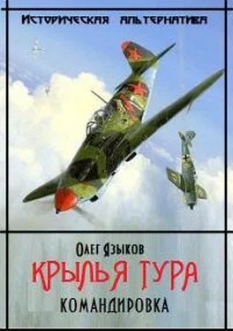 Языков Олег - Крылья Тура. Командировка [2 том полностью]