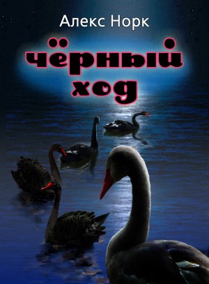 Норк Алекс - Черный ход