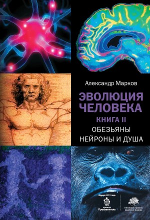 Марков Александр Владимирович - Эволюция человека том 2.  Обезьяны нейроны и душа