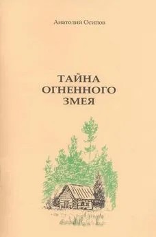 Осипов Анатолий - Тайна огненного змея