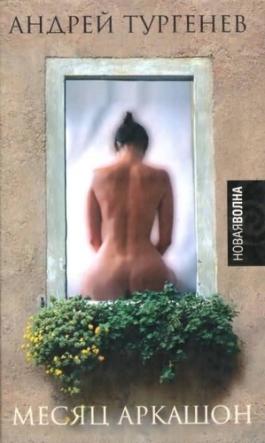 cкачать книгу Андрей Тургенев Месяц Аркашон