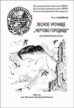 Самойлов Василий - ЛЕСНОЕ УРОЧИЩЕ «ЧЕРТОВО ГОРОДИЩЕ»