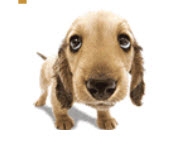 Орлов Виктор - Секреты Маркетинговых Стратагем