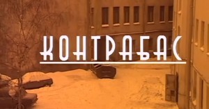 cкачать книгу Андрей Иванов, Рубин Дмитрий Контрабас