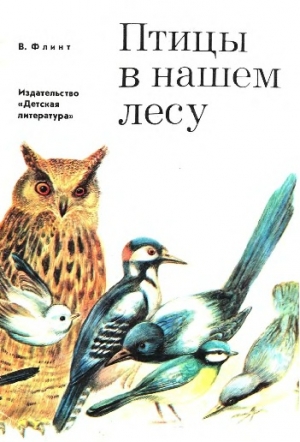 Флинт Владимир - Птицы в нашем лесу