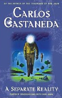 Кастанеда Карлос - Отдельная реальность: дальнейшие беседы с доном Хуаном