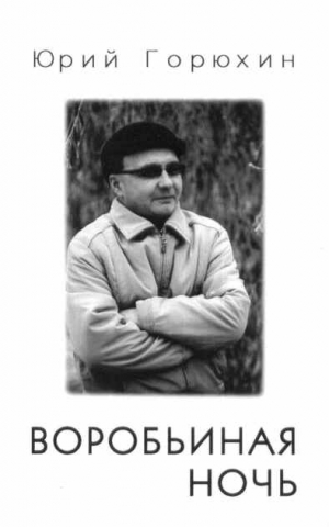 Горюхин Юрий - Воробьиная ночь, Крайний подъезд слева