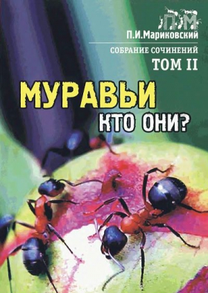 Мариковский Павел - Муравьи, кто они?