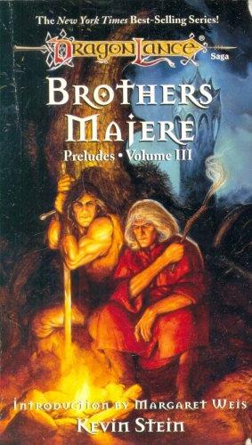 Стейн Кевин - Братья Маджере