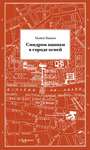 Вишнек Матей - Синдром паники в городе огней