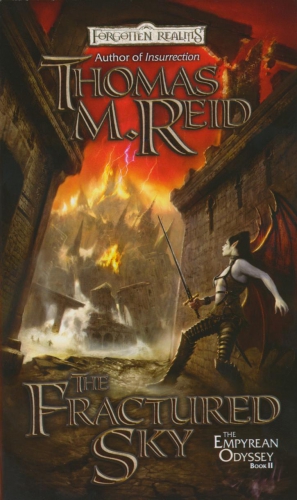 Рейд Томас - Расколотое небо