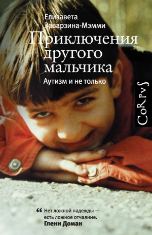Заварзина-Мэмми Елизавета - Приключения другого мальчика. Аутизм и не только
