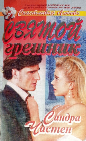 Частейн Сандра - Святой грешник