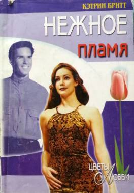 cкачать книгу Кэтрин Бритт Нежное пламя