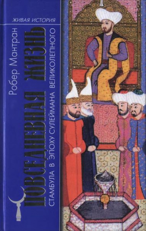Мантран Робер - Повседневная жизнь Стамбула в эпоху Сулеймана Великолепного