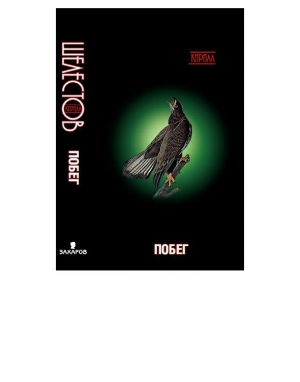 Шелестов Кирилл - Побег