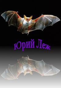 Леж Юрий - Искажение[СИ, роман в двух книгах]