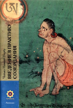 Ринпоче Намкай - Введение в практику созерцания