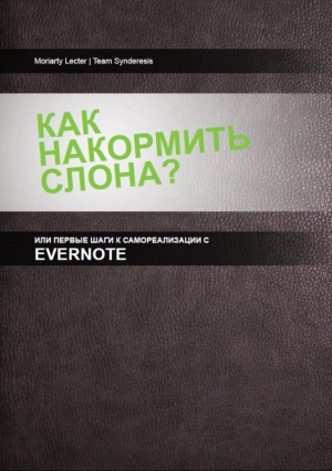 Султанов Гани - Как накормить слона, или первые шаги к самоорганизации с Evernote