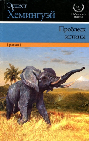 Хемингуэй Эрнест - Проблеск истины