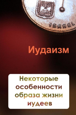 Мельников Илья - Некторые особенности образа жизни иудеев