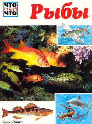 Коу Джеффри - Рыбы