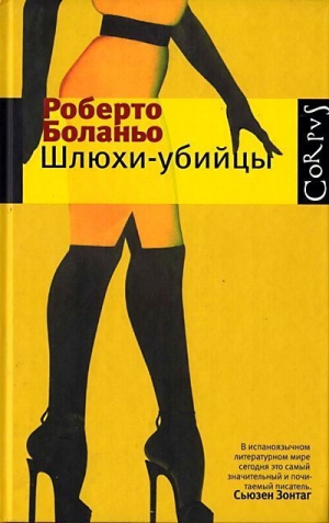 Боланьо Роберто - Бродяга во Франции и Бельгии