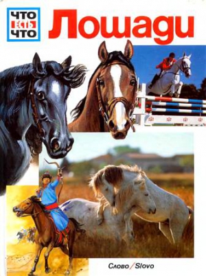 Зельф Маргарет Кабель - Лошади