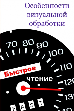 Мельников Илья - Особенности визуальной обработки