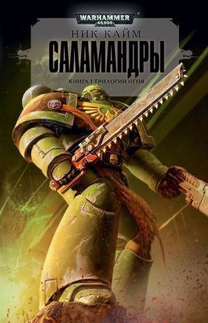 cкачать книгу Ник Кайм Саламандры