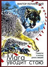 МАГА УВОДИТ СТАЮ