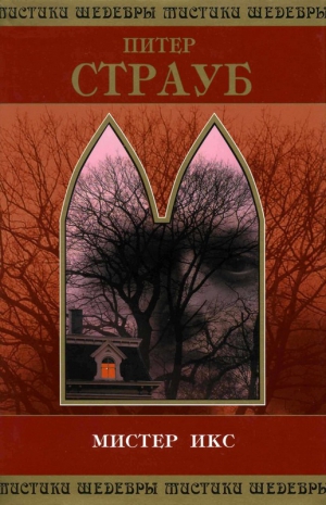 cкачать книгу Питер Страуб Мистер Икс