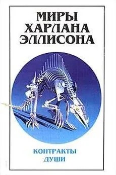 Эллисон Харлан - Живой и невредимый в одиноком путешествии