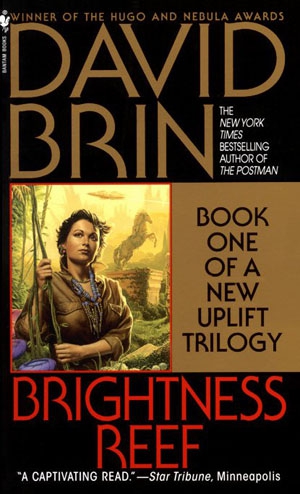 Брин Дэвид - Риф яркости