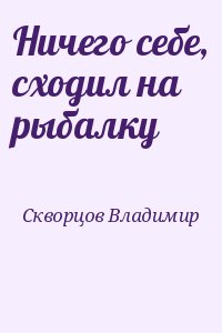 Скворцов Владимир - Ничего себе, сходил на рыбалку