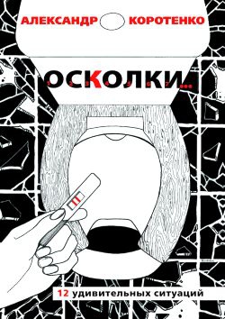 Коротенко Александр - Осколки. 12 удивительных ситуаций