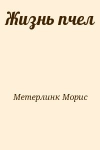 Жизнь пчел