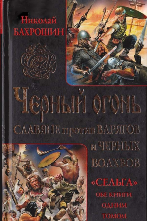 Бахрошин Николай - Черный огонь. Славяне против варягов и черных волхвов