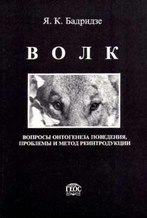 Бадридзе Ясон - Волк. Вопросы онтогенеза поведения, проблемы и метод реинтродукции