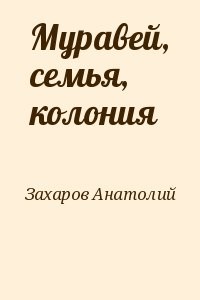 Муравей, семья, колония