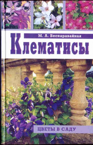 Бескаравайная Маргарита - Клематисы