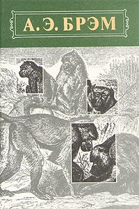 Брэм Альфред - Жизнь животных, Том I, Млекопитающие