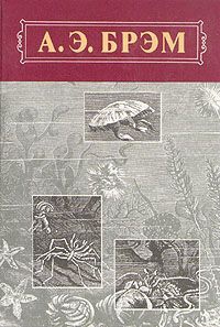 Брэм Альфред - Жизнь животных, Том III, Пресмыкающиеся. Земноводные. Рыбы