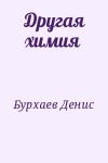 Бурхаев Денис - Другая химия